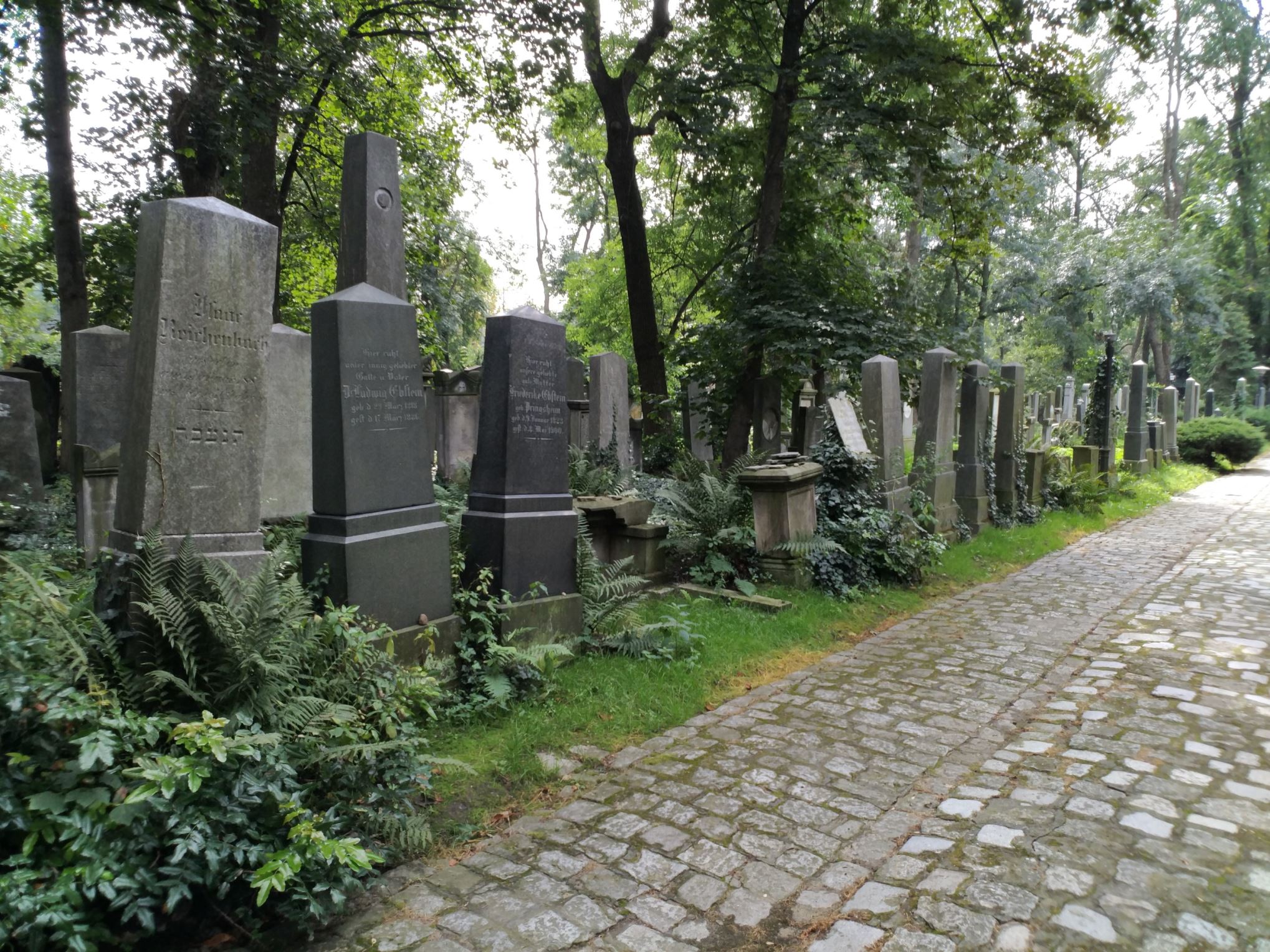 Old Jewish Cemetery of Wroclaw
