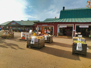 Carter Mountain Orchard