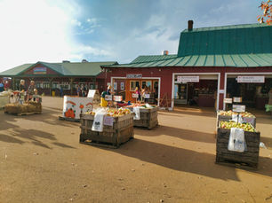 Carter Mountain Orchard