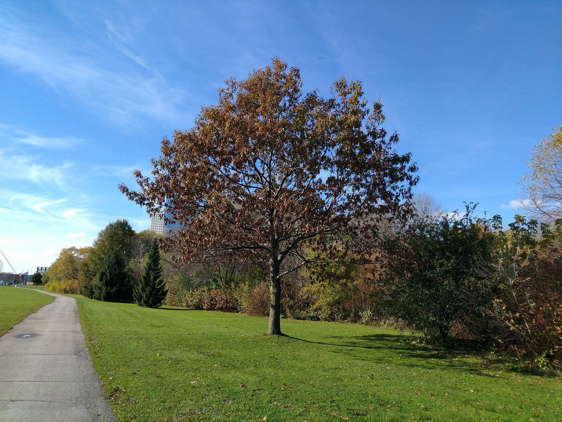 Veterans Park Milwaukee(41)