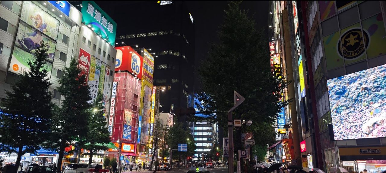 Akihabara: Electronics, Games and Pop Culture