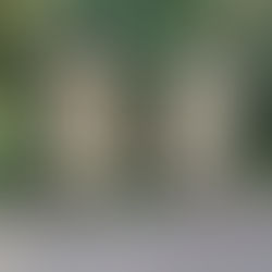 בית העלמין היהודי הישן בברלין