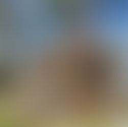 Carl J. McEwen Historic Village in Mint Hill