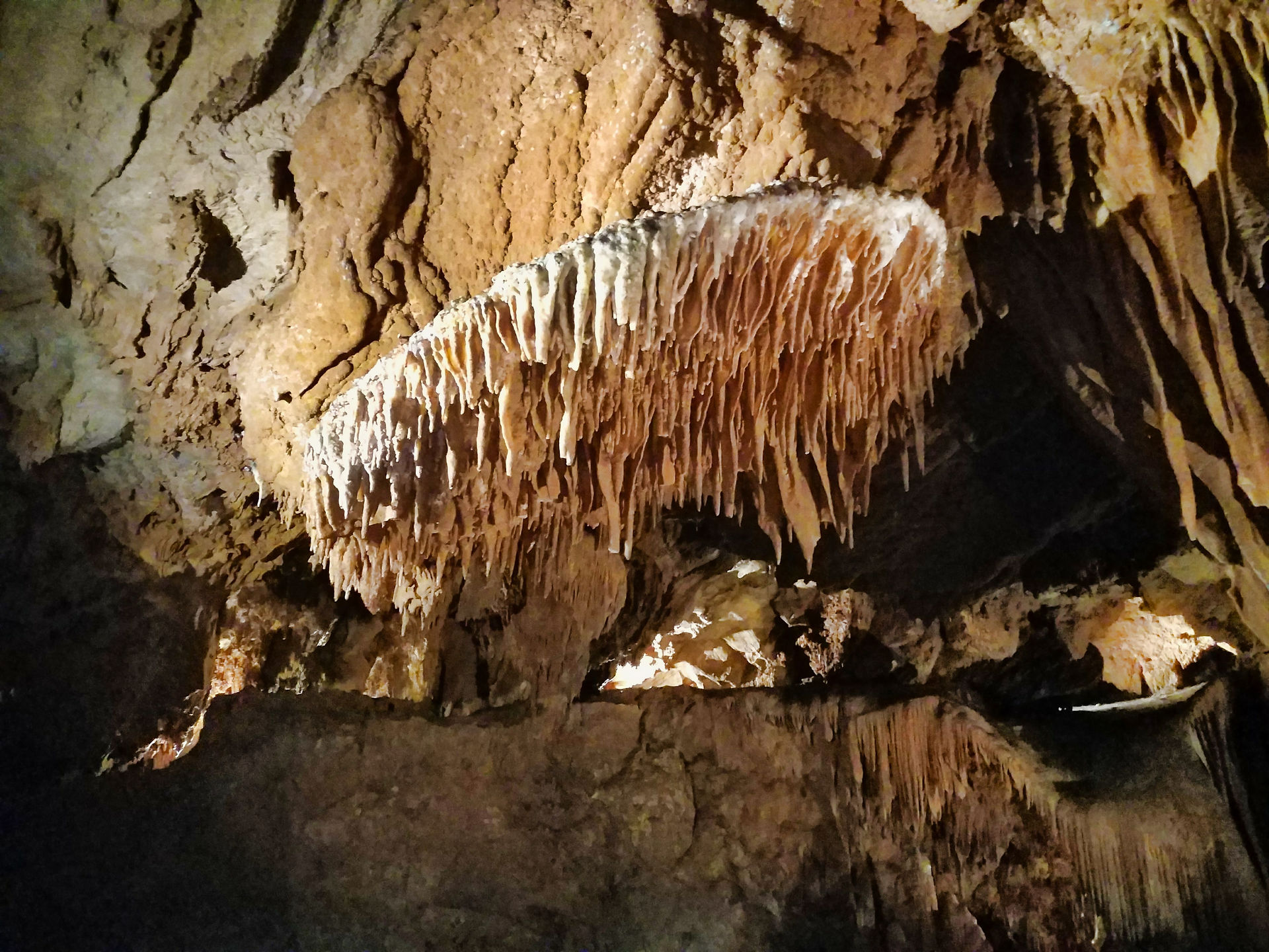 Grand Caverns Virginia (91)