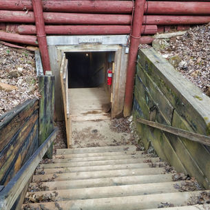 Reed Gold Mine