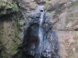 מפלי קסקייד: עצירה מרעננת ליד יער מיור