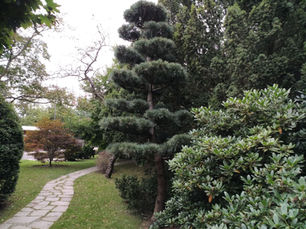Japanese Garden in Wroclaw