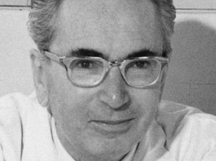 Viktor Frankl Museum