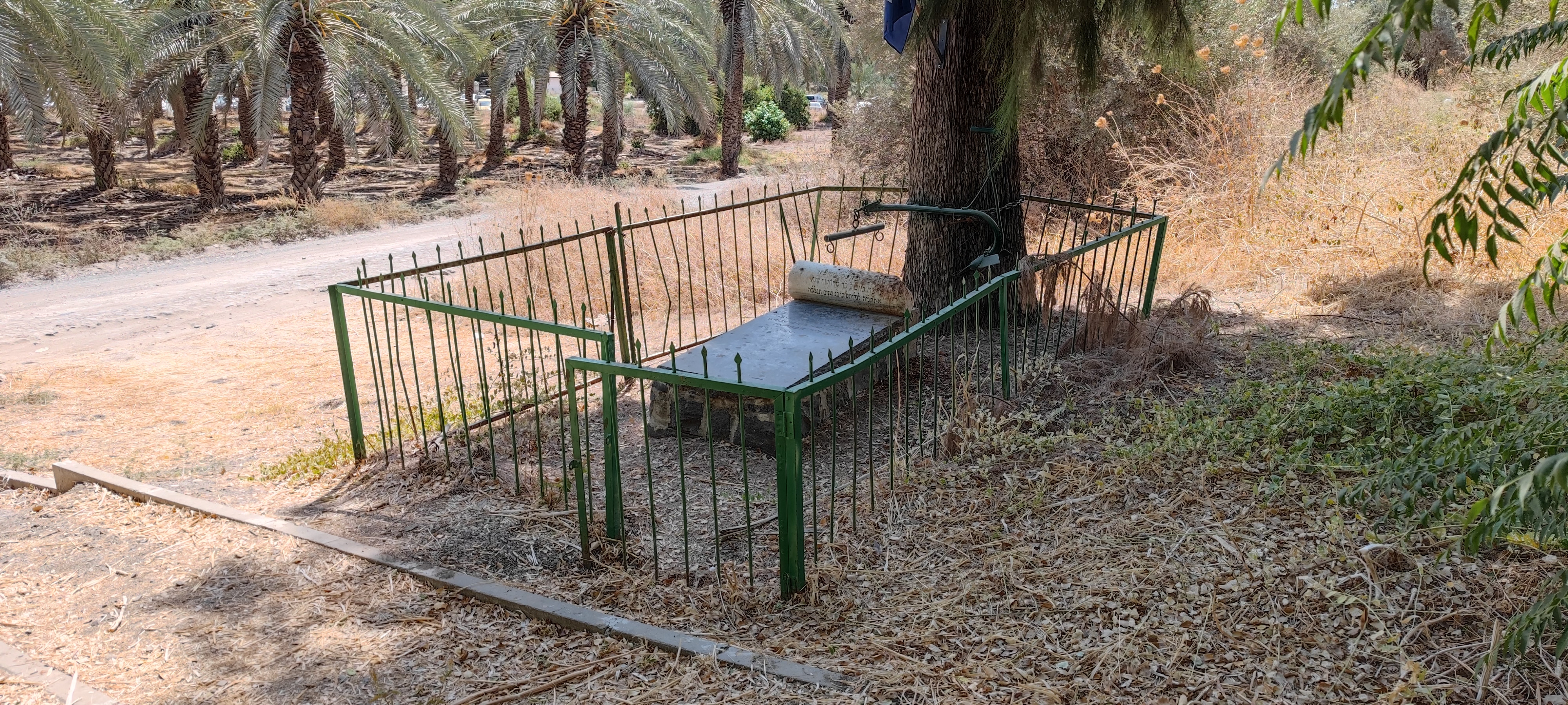 על שני חלוצים מקיבוץ כנרת