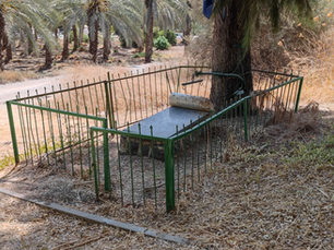 על שני חלוצים מקיבוץ כנרת