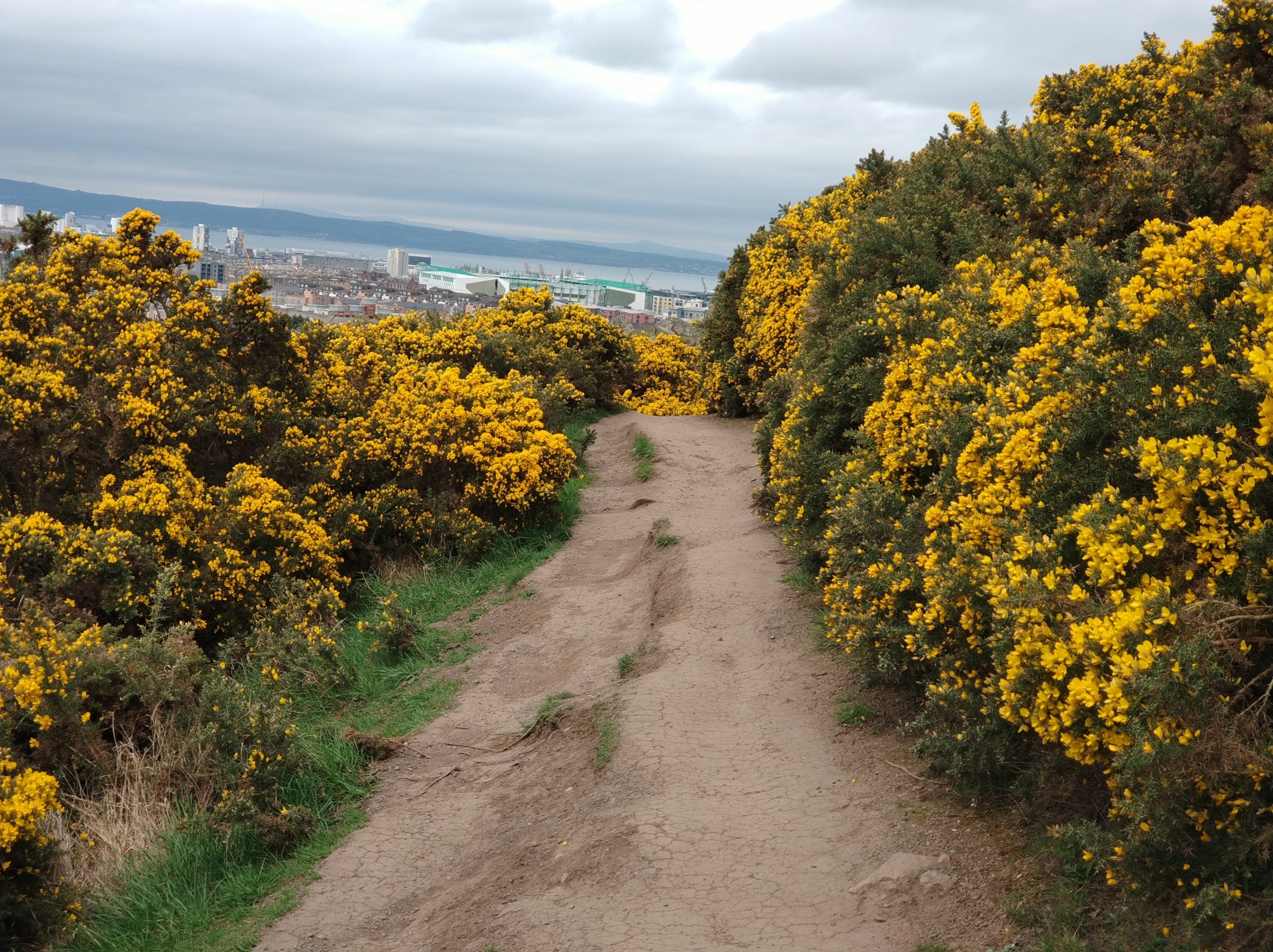 Arthur's Seat in Holyrood Park