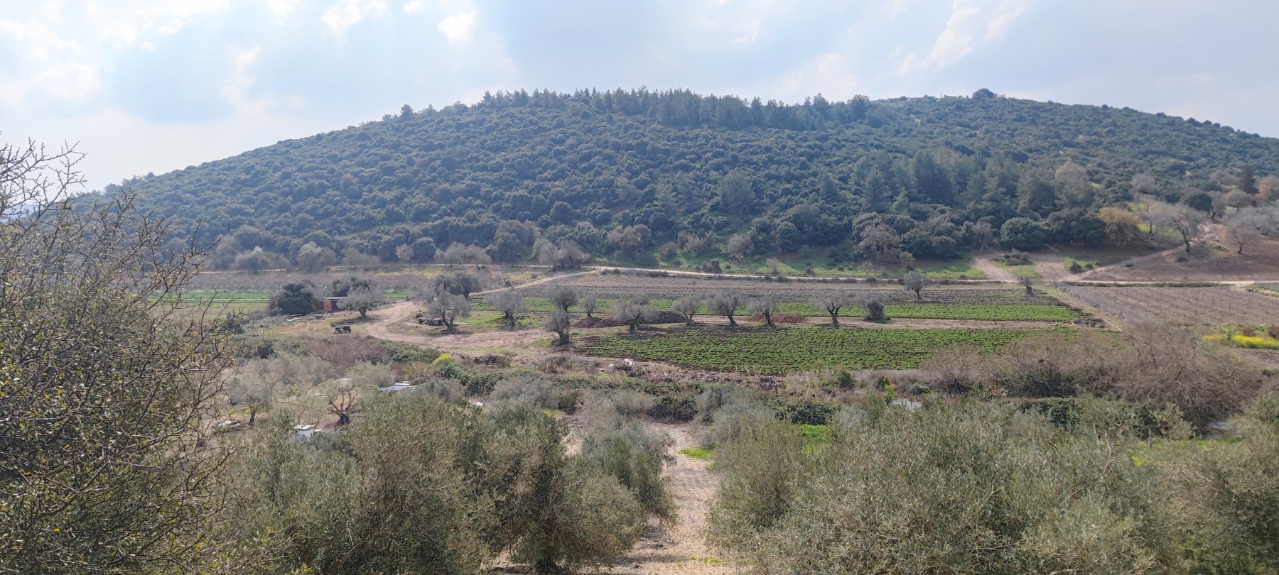 Lower Galilee scenery beside Nahal Tzipori