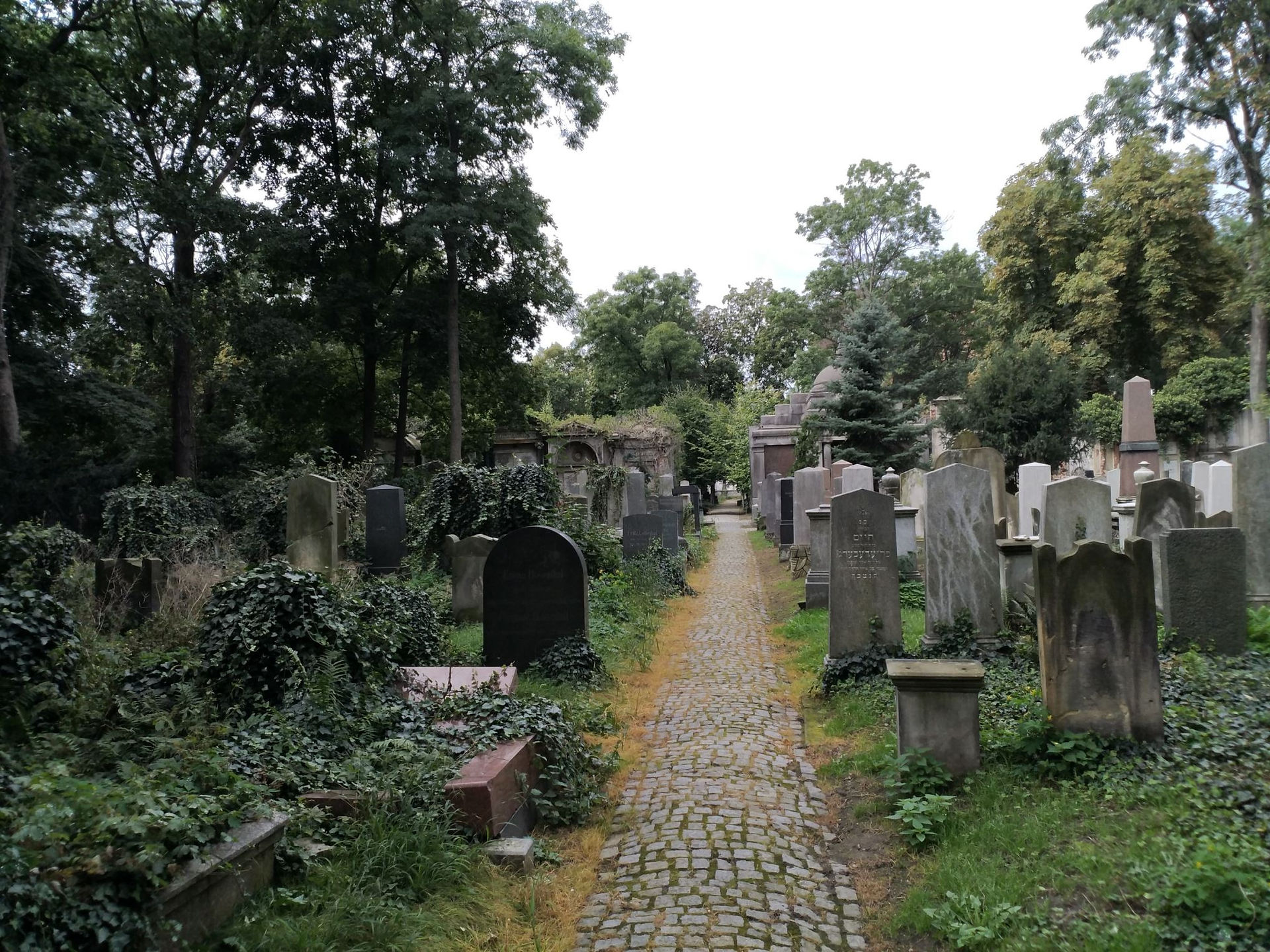 Old Jewish Cemetery Wroclaw (35)