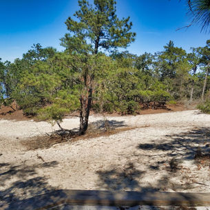 פארק קרולינה ביץ'