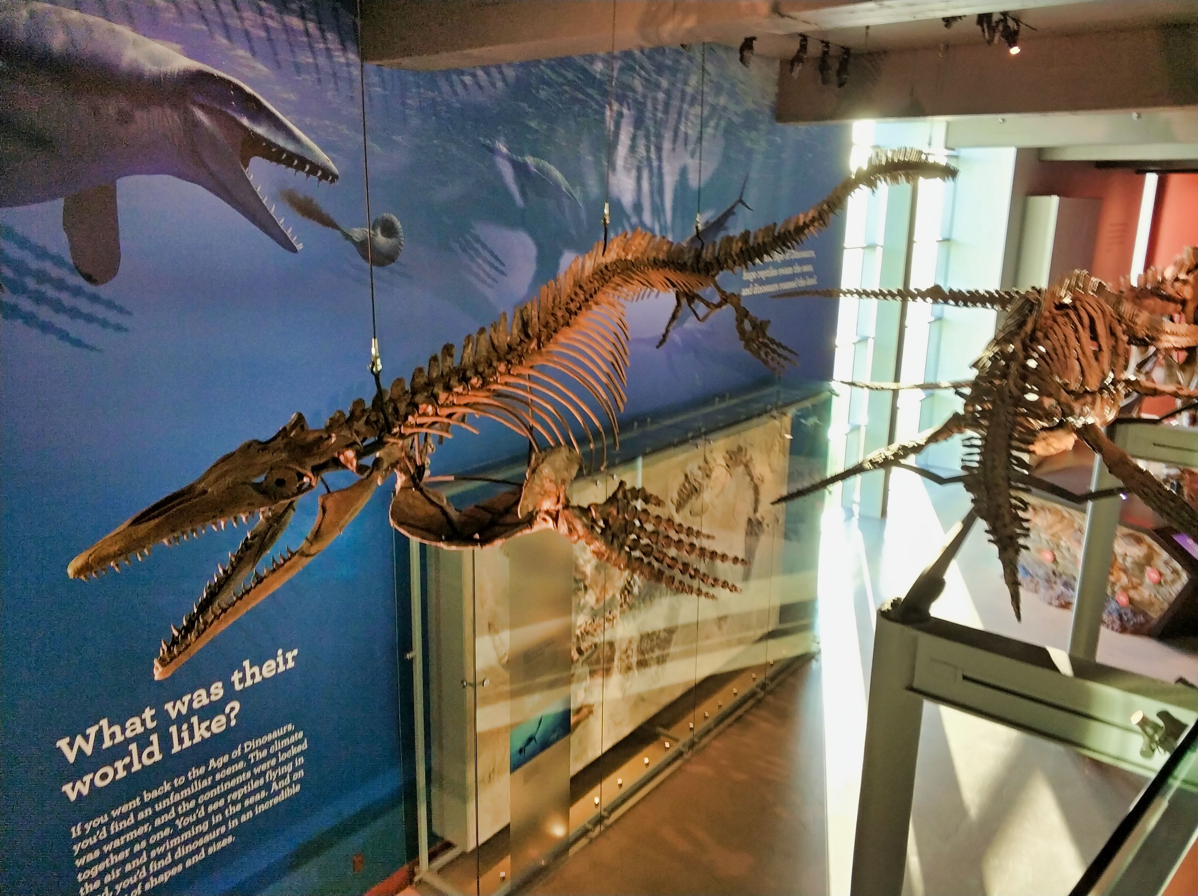 Natural History Museum of Los Angeles County