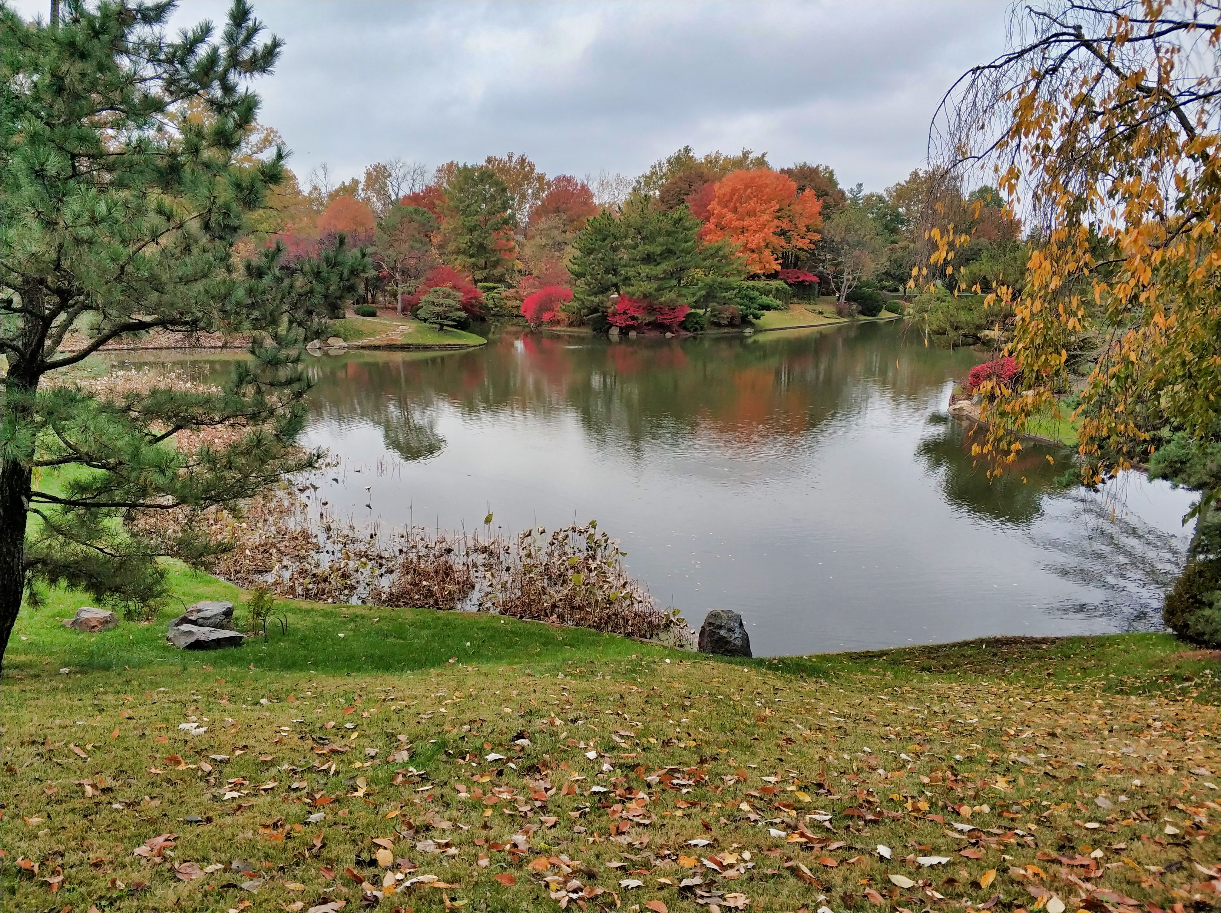 Missouri Botanical Garden in Saint Louis