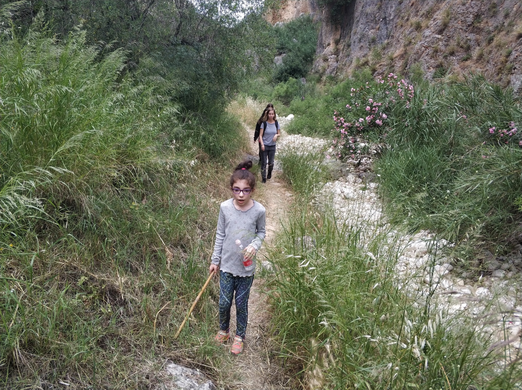 Water and rocks in Upper Nahal Amud