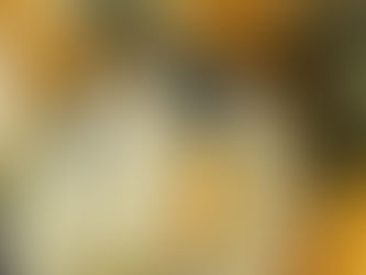 שוק האיכרים של בולדר