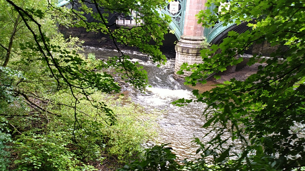 Glasgow-Kelvin-Walkway (8)