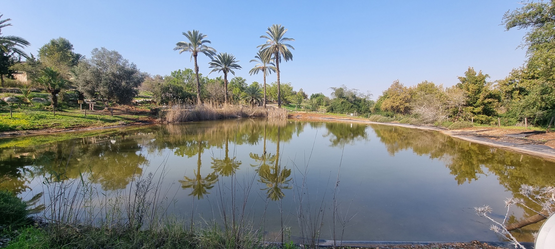 נאות קדומים: טיול בין נופי התנ״ך, בריכות מים ומתקנים חקלאיים עתיקים