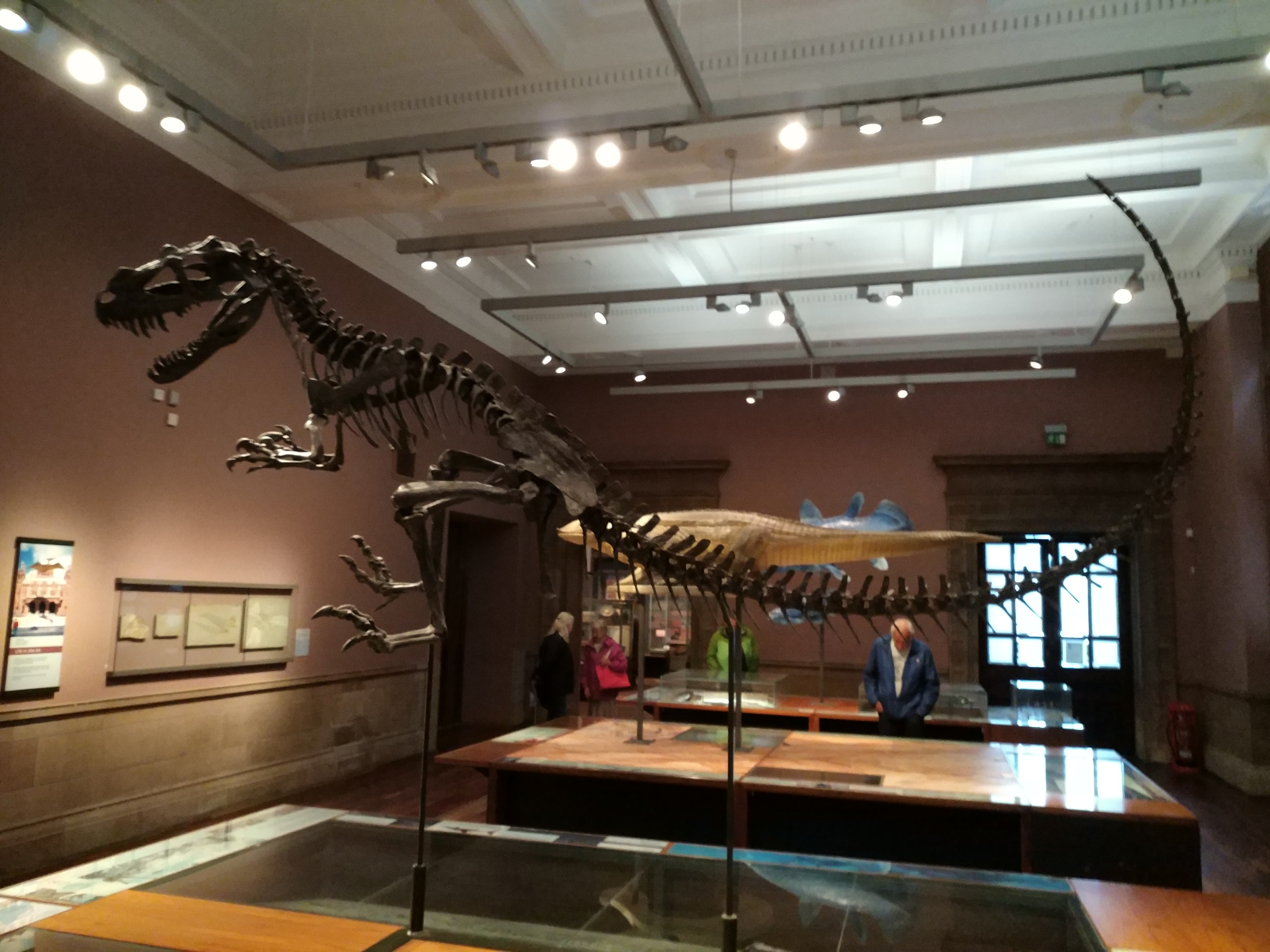 Kelvingrove Art Gallery and Museum