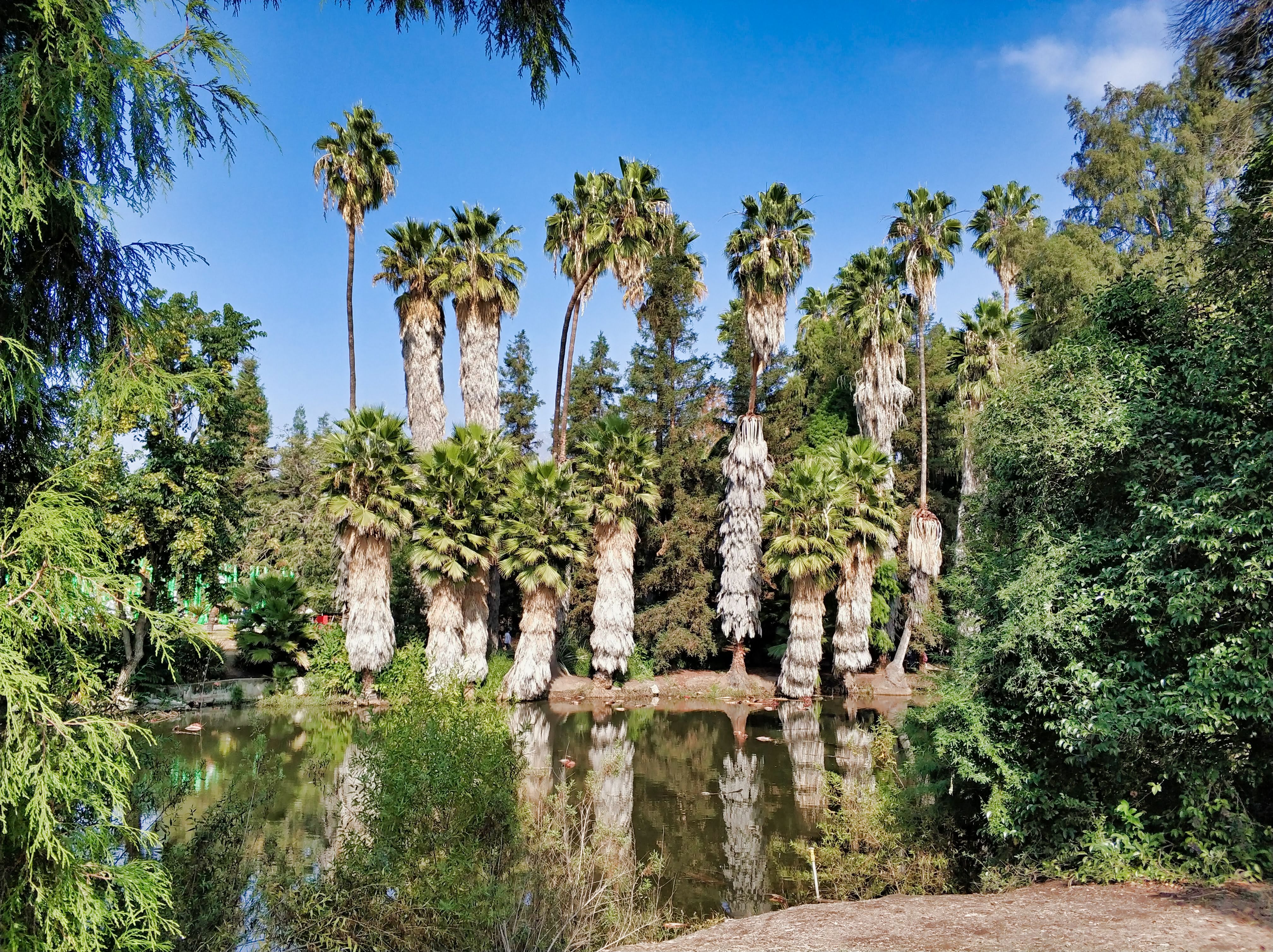 Los Angeles County Arboretum & Botanical Gardens