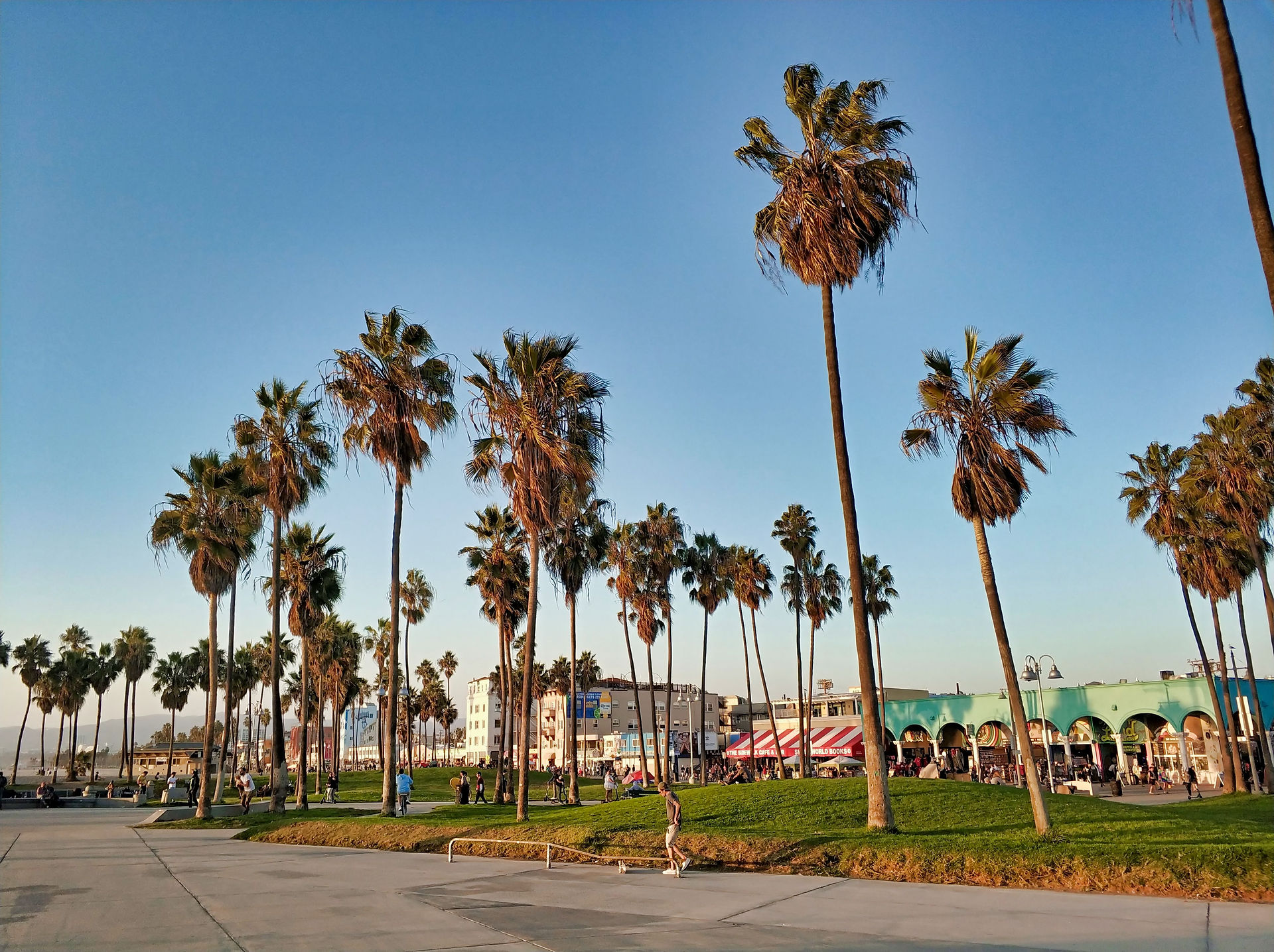 Venice Beach and Boardwalk (11)