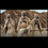 Thumbnail: Star Wars: The Mandalorian - Tusken Raider 1:6 Scale 12" Action Figure