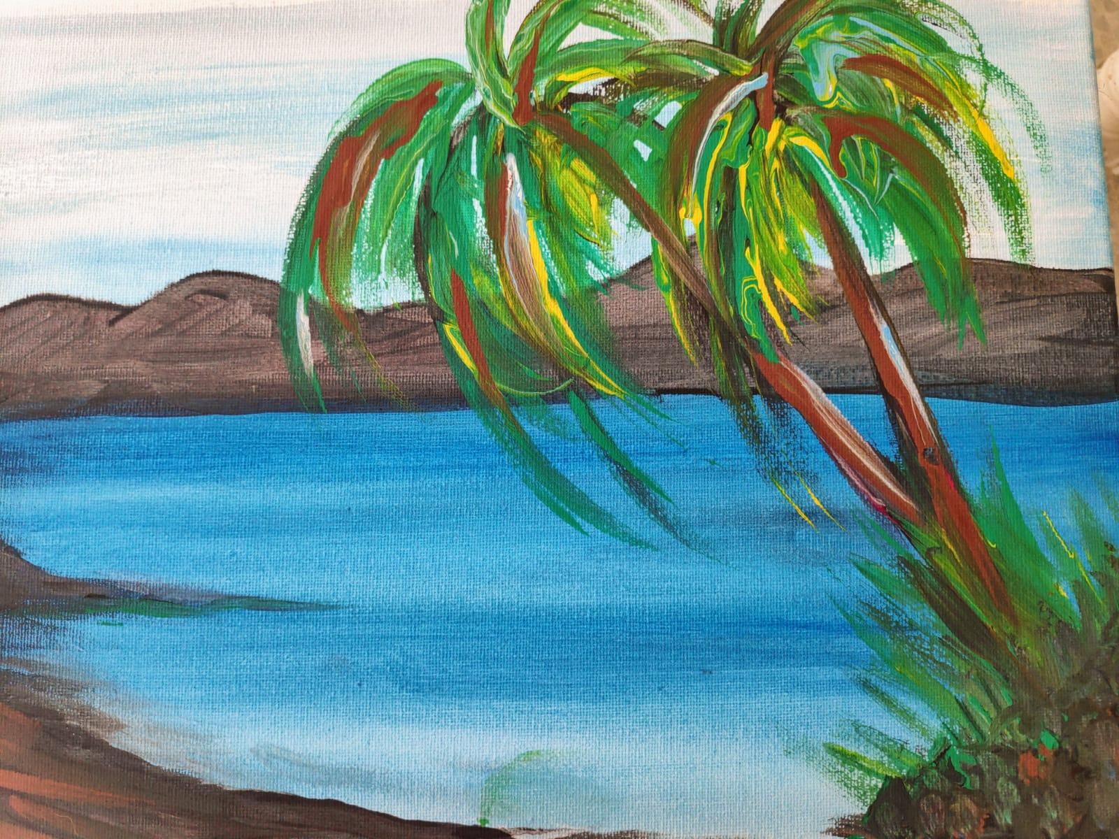 The Tropics