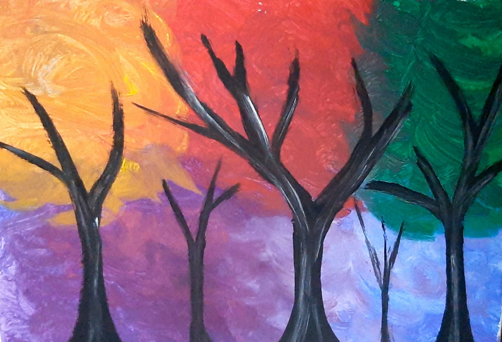 Rainbow Forest