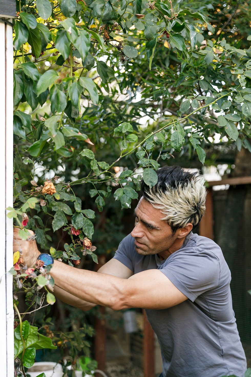 Matt, the head gardener, enjoys simply being out in their oasis surrounded by greenery. He’s become an expert at managing their backyard ecosystem and all the technical details.