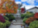 Fall color concept