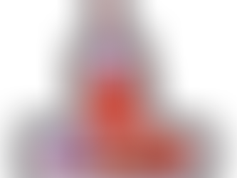 Protect with a Paint Brush Cover