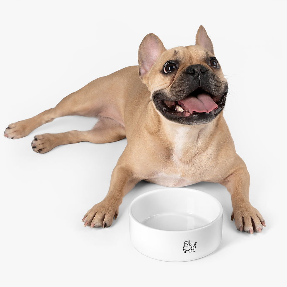 Thumbnail: Bully Market Pet Bowl