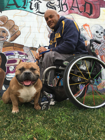 Bully Market Fun Dog Pics