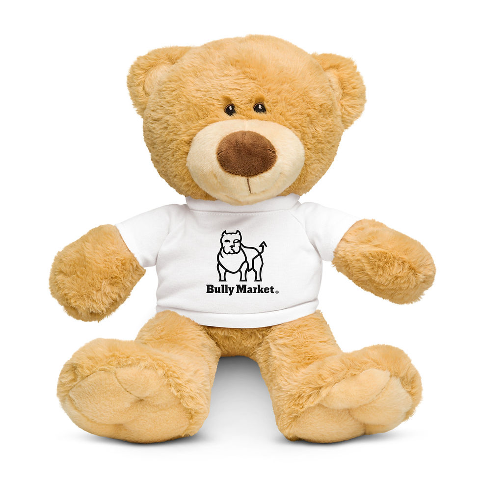 Bully Market Teddy bear with a t-shirt