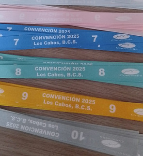 pulsera sublimada.jpeg