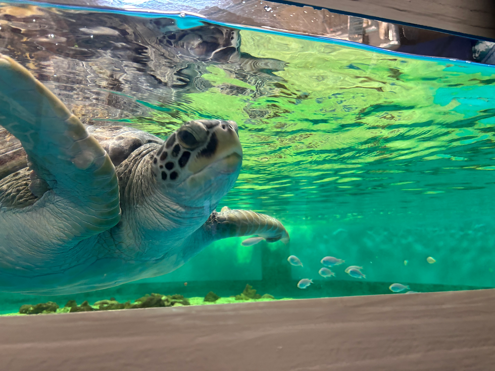 PHOTO: SPORTPLUS.SG / HANA BASIR