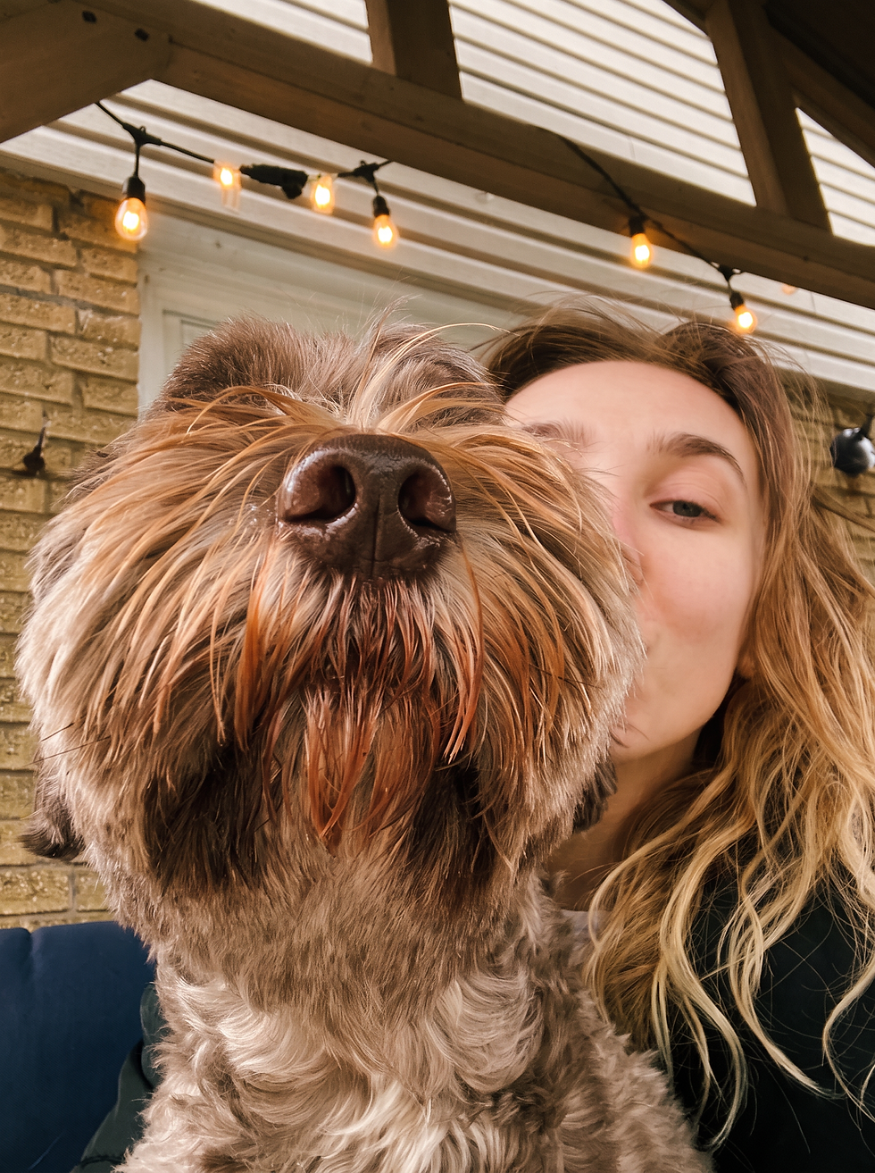 Pup & Co Dogs.jpg
