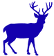 buck-clipart-transparent-background-19_e