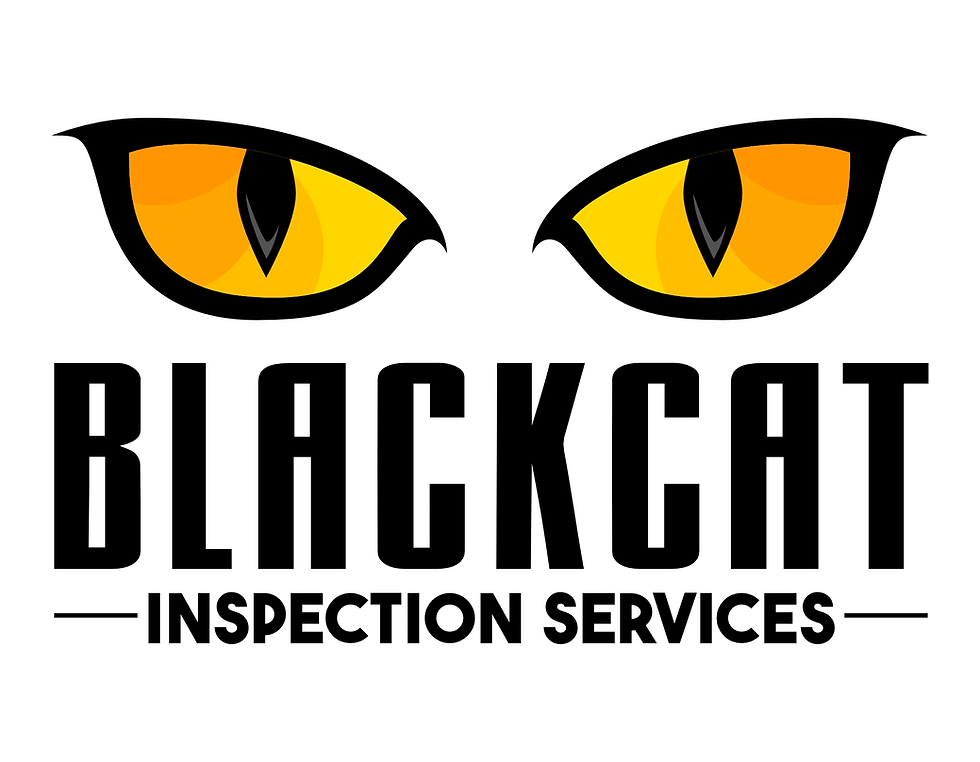 Black Cat Inspection Services, LLC | Home Inspections North Carolina ...