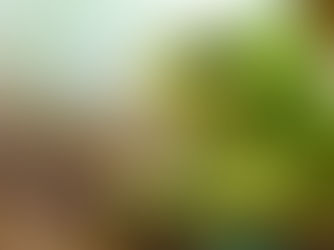 L' Art de la Transformation