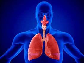 Welcome Sleep-Respiratory Medicine
