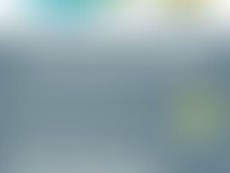 O QUE FAZER QUANDO ENCONTRARMOS UM ANIMAL NA RUA?