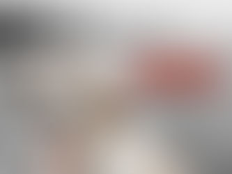 AGU pede a extinção da liminar que proíbe abate de animais resgatados de maus-tratos