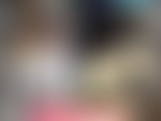 Animais são encaminados para cirurgia através da ONG OS SALVADORES