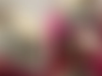 Cão vítima de maus tratos passa por cirurgia paga pela ONG OS SALVADORES