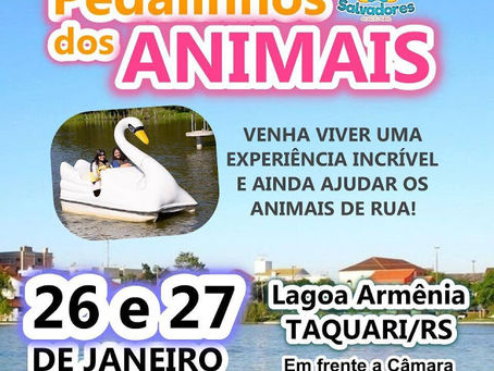 Pedalinho dos Animais