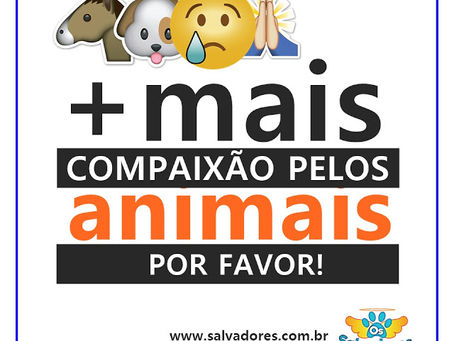 Mais compaixão, por favor!