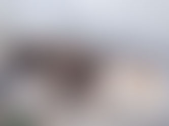 Caçadores flagrados com animais silvestres mortos são presos no Piauí